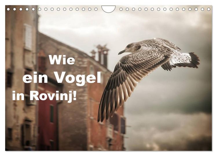 Produktbild: Wie ein Vogel in Rovinj! (Wandkalender 2026 DIN A4 quer), CALVENDO Monatskalender