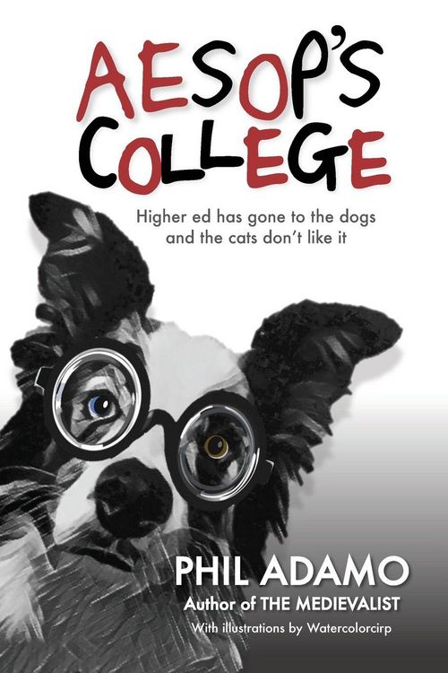 Produktbild: Aesop's College