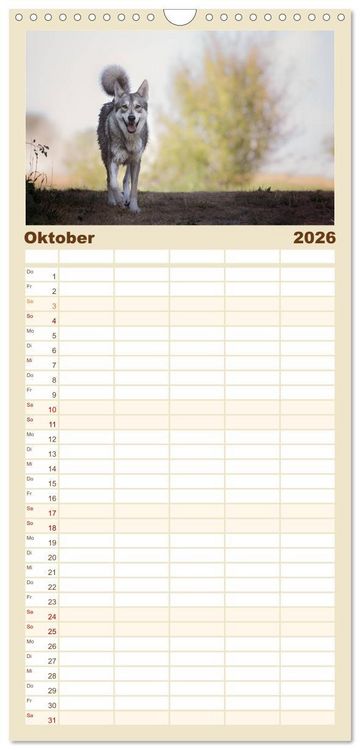 Produktbild: Familienplaner 2026 - Wolfshunde 2026 mit 5 Spalten (Wandkalender, 21 x 45 cm) CALVENDO