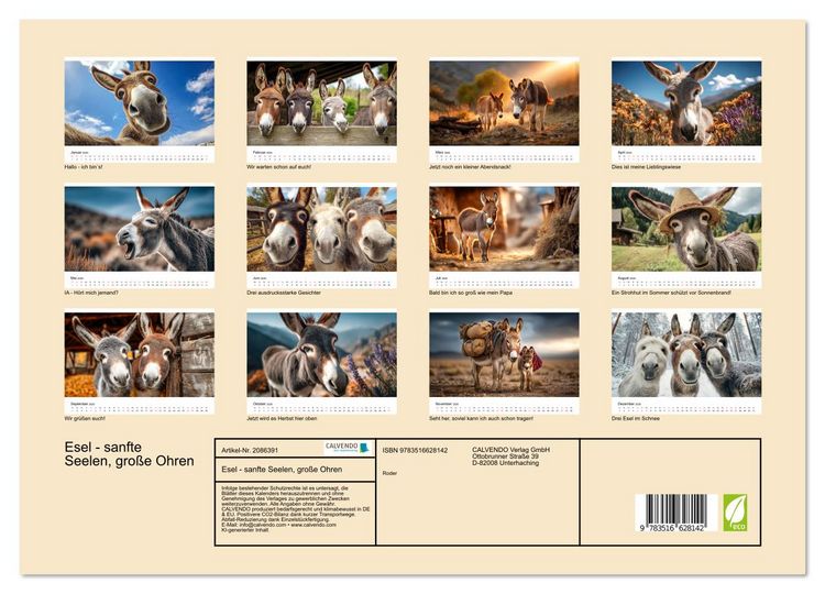 Produktbild: Esel - sanfte Seelen, gro&szlig;e Ohren (Wandkalender 2026 DIN A3 quer), CALVENDO Monatskalender