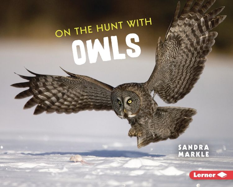 Produktbild: On the Hunt with Owls