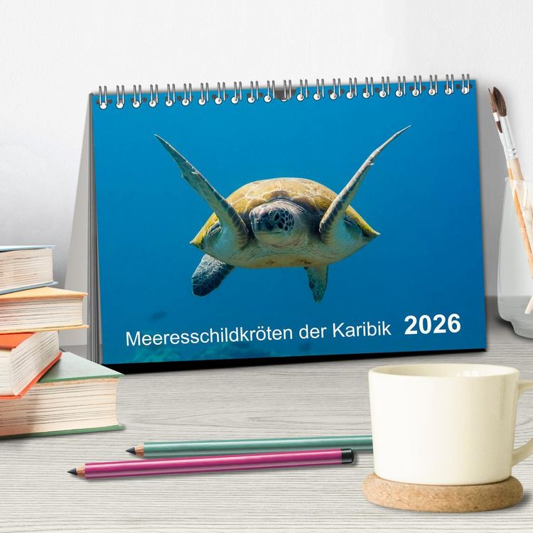 Produktbild: Meeresschildkr&ouml;ten der Karibik (Tischkalender 2026 DIN A5 quer), CALVENDO Monatskalender