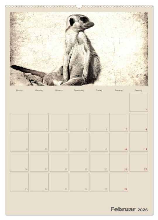 Produktbild: Lustige Erdm&auml;nnchen (Wandkalender 2026 DIN A2 hoch), CALVENDO Monatskalender