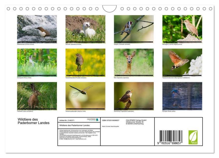 Produktbild: Wildtiere des Paderborner Landes (Wandkalender 2026 DIN A4 quer), CALVENDO Monatskalender