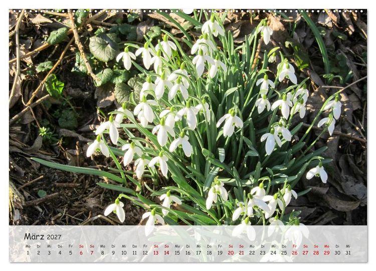 Produktbild: Vier Jahreszeiten - Eine Welt (Wandkalender 2027 DIN A2 quer), CALVENDO Monatskalender