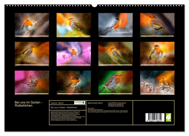 Produktbild: Bei uns im Garten - Rotkehlchen (hochwertiger Premium Wandkalender 2026 DIN A2 quer), Kunstdruck in Hochglanz