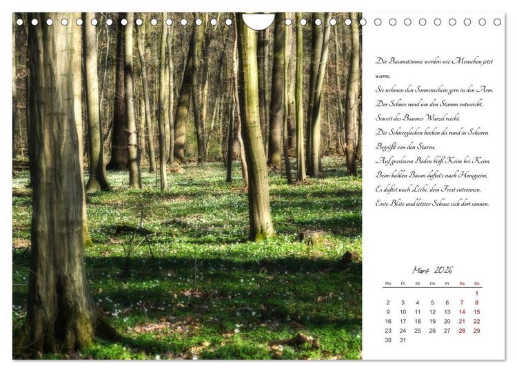 Produktbild: Max Dauthendey - Mit der Natur durchs Jahr (Wandkalender 2026 DIN A4 quer), CALVENDO Monatskalender