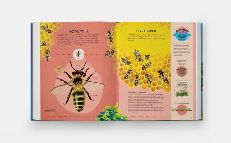 Produktbild: Nature's Tiny Champions