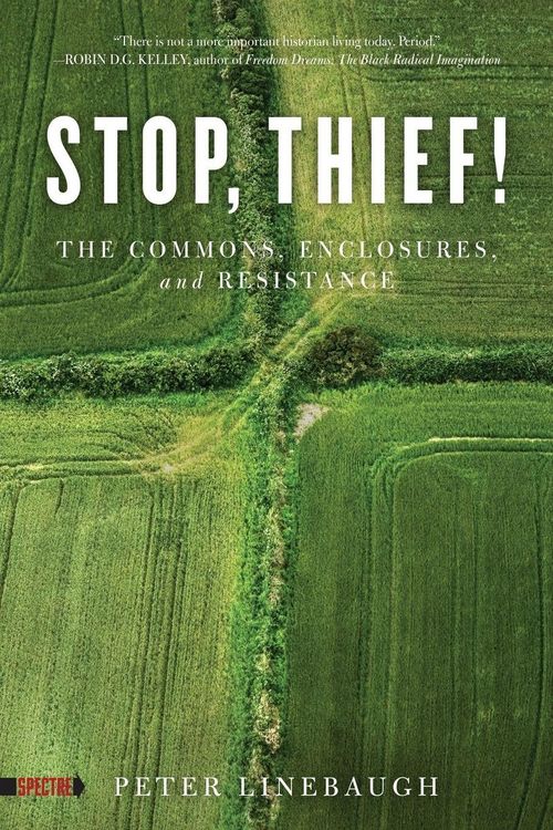 Produktbild: Stop, Thief!