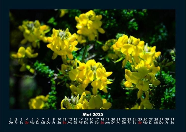 Produktbild: Blumenkalender 2025 Fotokalender DIN A4