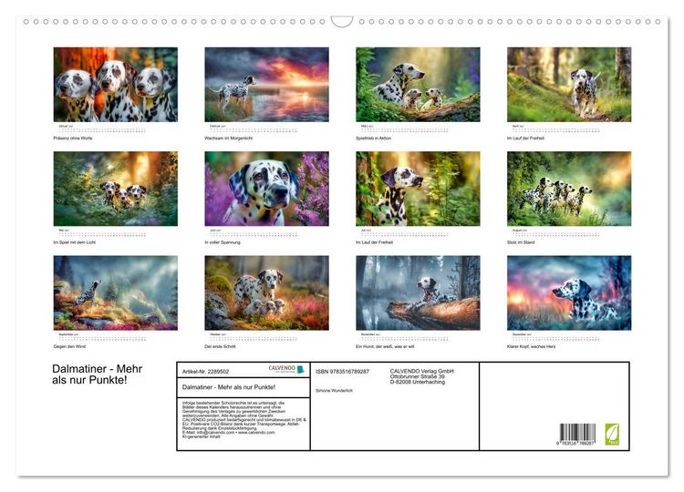Produktbild: Dalmatiner - Mehr als nur Punkte! (Wandkalender 2027 DIN A2 quer), CALVENDO Monatskalender