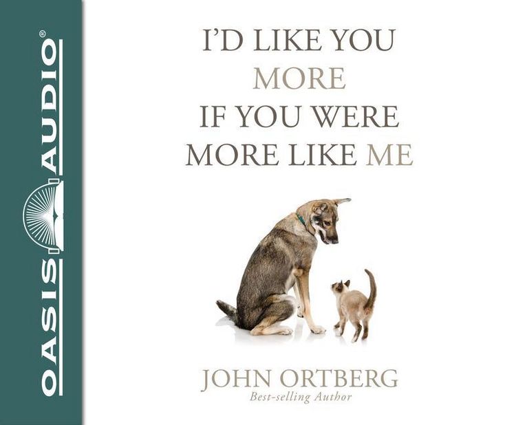 Produktbild: I'd Like You More If You Were More Like Me