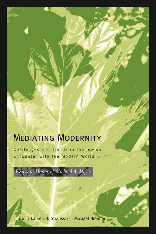 Produktbild: Mediating Modernity