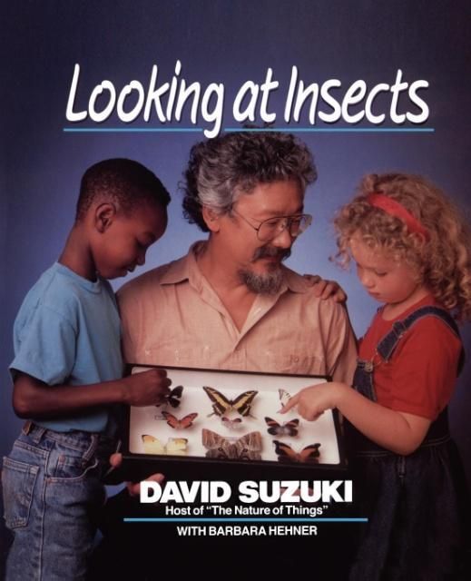 Produktbild: Looking at Insects