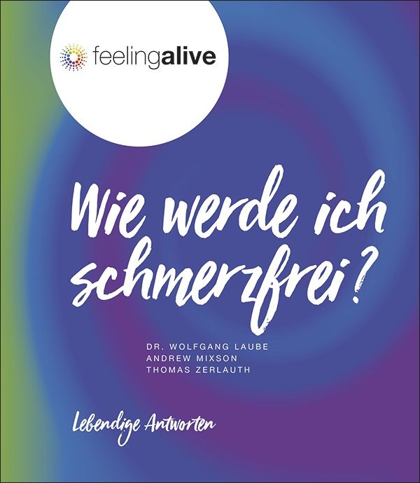Produktbild: Wie werde ich schmerzfrei?