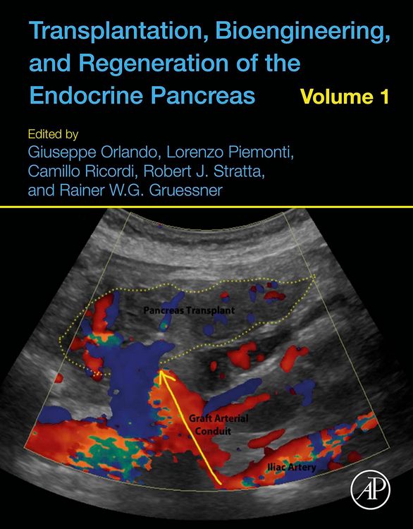 Produktbild: Transplantation, Bioengineering, and Regeneration of the Endocrine Pancreas