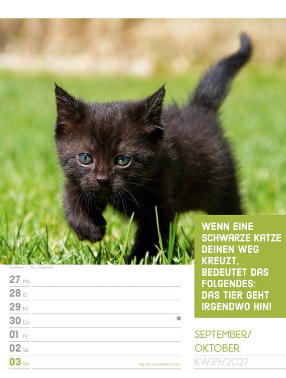 Produktbild: Tierisch Spr&uuml;chekalender Wochenplaner 2027