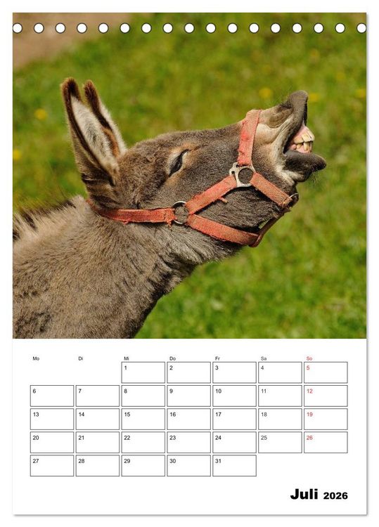 Produktbild: S&uuml;&szlig;e Esel. Langohren zum Verlieben (Tischkalender 2026 DIN A5 hoch), CALVENDO Monatskalender