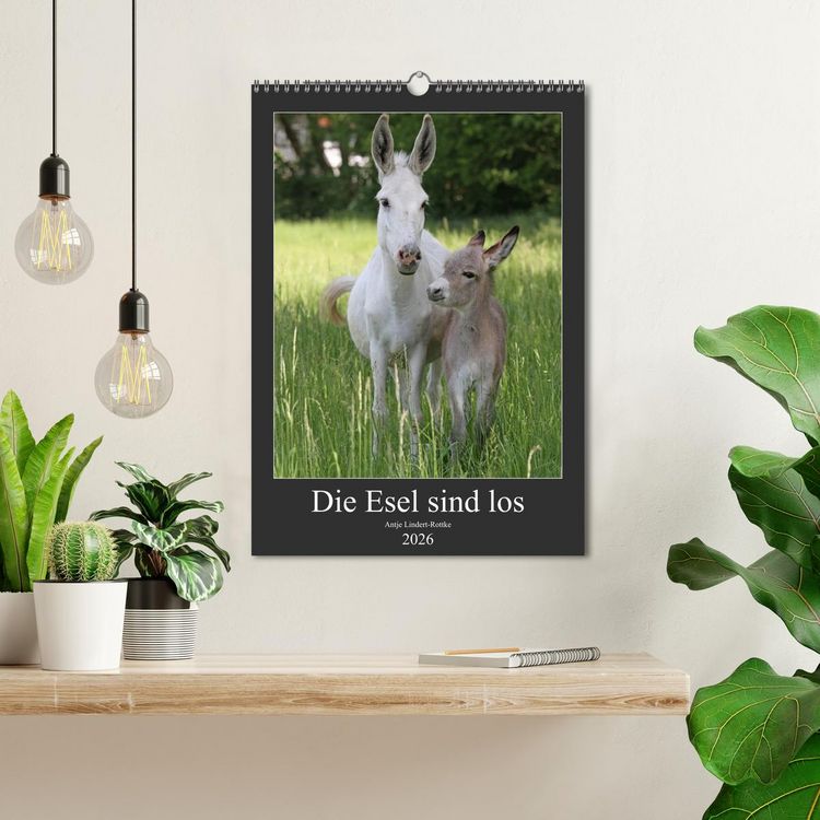 Produktbild: Die Esel sind los (Wandkalender 2026 DIN A3 hoch), CALVENDO Monatskalender