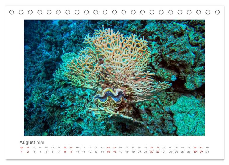 Produktbild: &Auml;gypten - unterwegs mit Julia Hahn (Tischkalender 2026 DIN A5 quer), CALVENDO Monatskalender