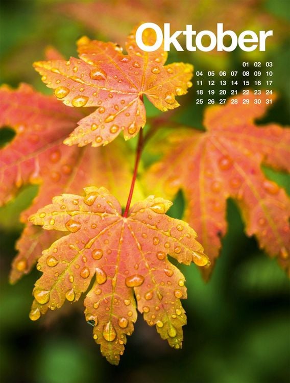 Produktbild: Fr&uuml;hling, Sommer, Herbst & Winter Kalender 2027