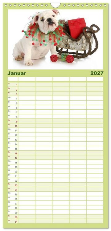 Produktbild: Familienplaner 2027 - English Bulldog XXL Models mit 5 Spalten (Wandkalender, 21 x 45 cm) CALVENDO