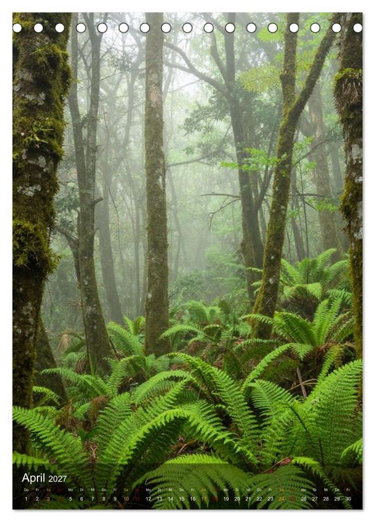 Produktbild: Elemente der Natur (Tischkalender 2027 DIN A5 hoch), CALVENDO Monatskalender