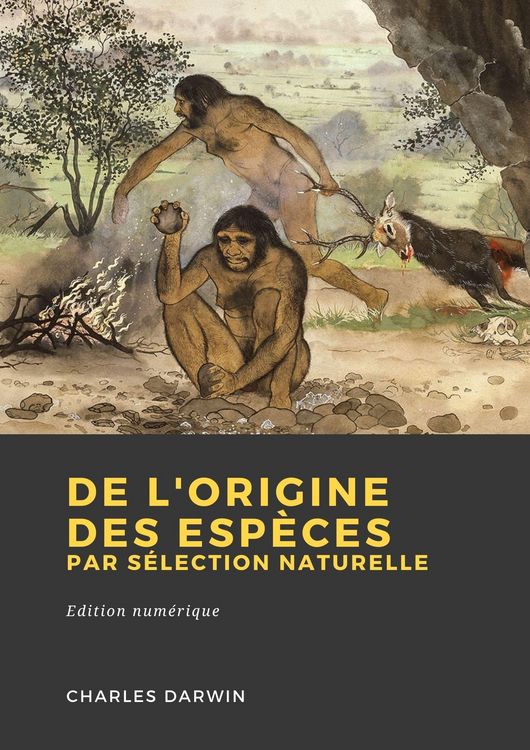 Produktbild: De l'origine des esp&egrave;ces par s&eacute;lection naturelle