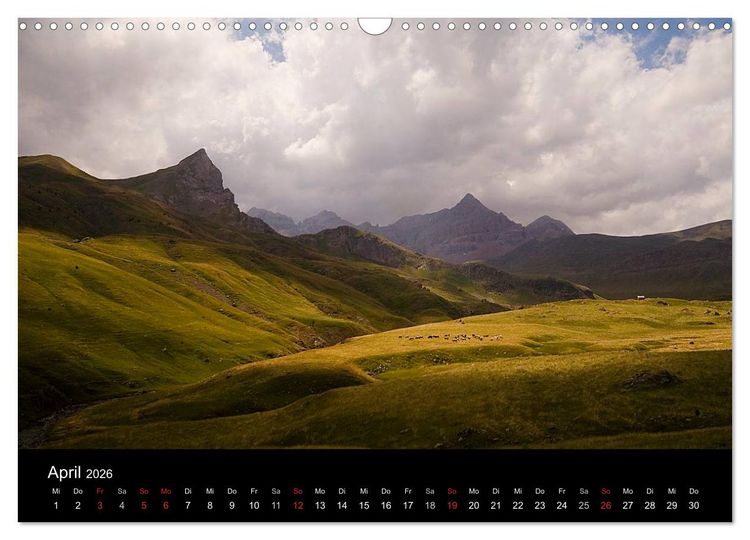 Produktbild: K&uuml;he 2026 (Wandkalender 2026 DIN A3 quer), CALVENDO Monatskalender