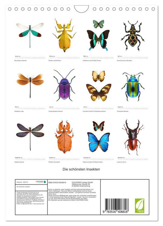 Produktbild: Die sch&ouml;nsten Insekten (Wandkalender 2026 DIN A4 hoch), CALVENDO Monatskalender