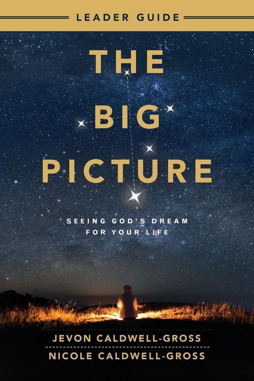 Produktbild: The Big Picture Leader Guide