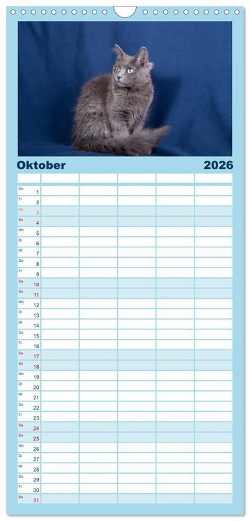 Produktbild: Familienplaner 2026 - Nebelung Katzen mit 5 Spalten (Wandkalender, 21 x 45 cm) CALVENDO