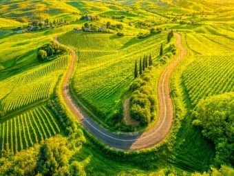 Produktbild: CALVENDO Puzzle Stra&szlig;e zwischen Weinreben und Zypressen | 1000 Teile Lege-Gr&ouml;&szlig;e 64x48cm Foto-Puzzle f&uuml;r gl&uuml;ckliche Stunden