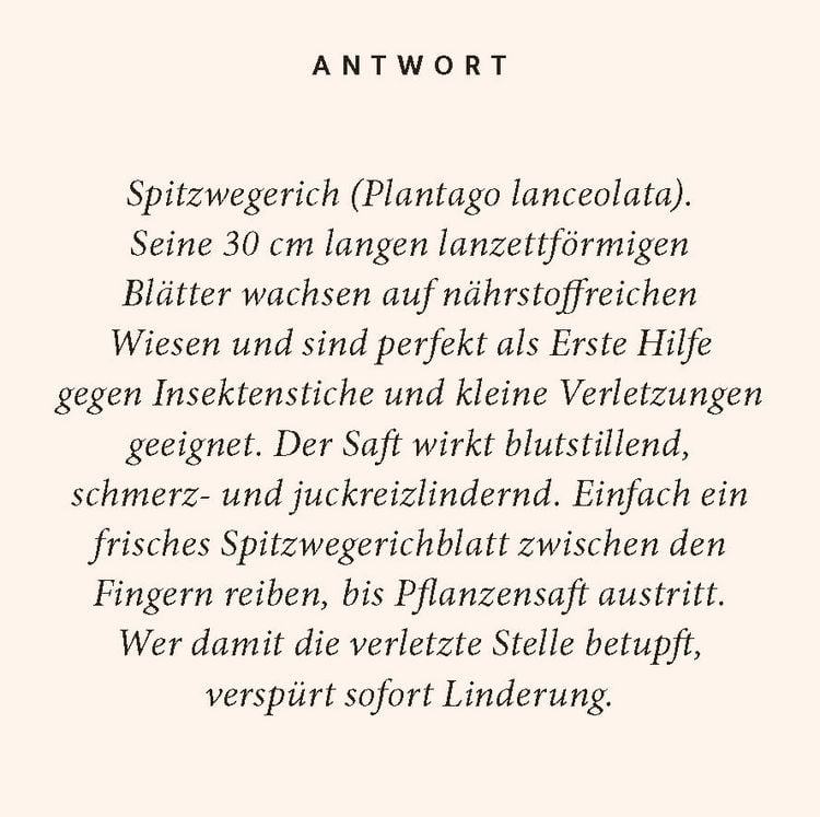 Produktbild: Kr&auml;uter-Quiz