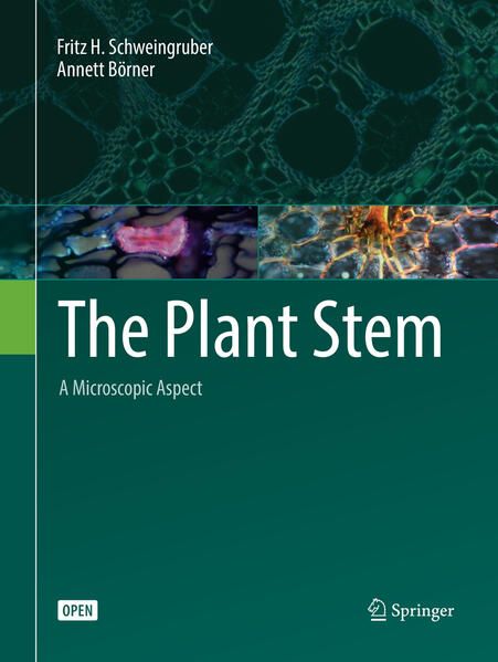 Produktbild: The Plant Stem