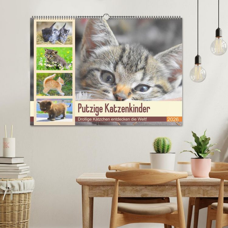 Produktbild: Putzige Katzenkinder. Drollige K&auml;tzchen entdecken die Welt! (Wandkalender 2026 DIN A2 quer), CALVENDO Monatskalender