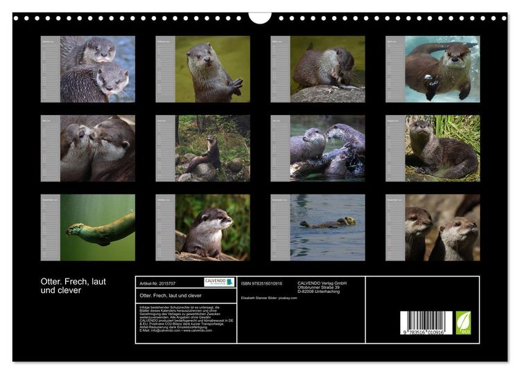 Produktbild: Otter. Frech, laut und clever (Wandkalender 2026 DIN A3 quer), CALVENDO Monatskalender