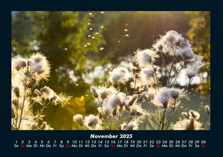 Produktbild: Bilder aus der Natur 2025 Fotokalender DIN A4