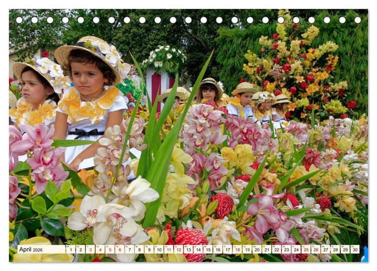 Produktbild: Blumenfest auf Madeira (Tischkalender 2026 DIN A5 quer), CALVENDO Monatskalender