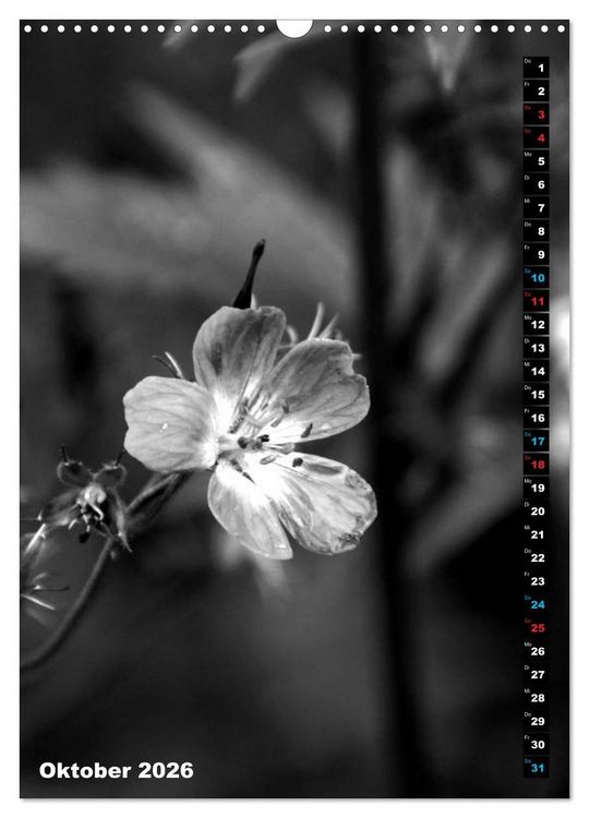 Produktbild: Blumige Graustufen - Schwarz und Wei&szlig; (Wandkalender 2026 DIN A3 hoch), CALVENDO Monatskalender