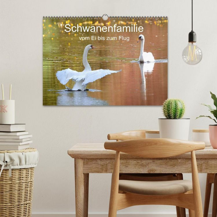 Produktbild: Schwanenfamilie, vom Ei bis zum Fliegen. (Wandkalender 2026 DIN A3 quer), CALVENDO Monatskalender