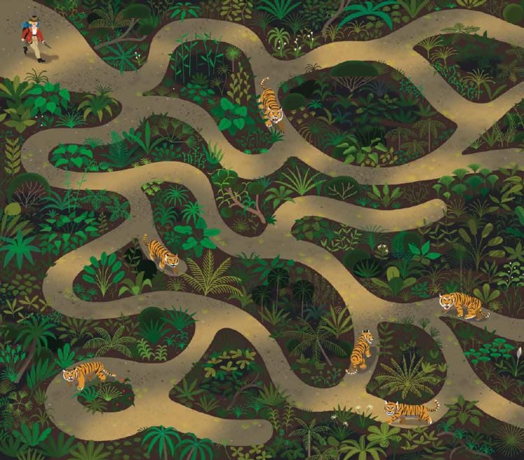Produktbild: Labyrinthe
