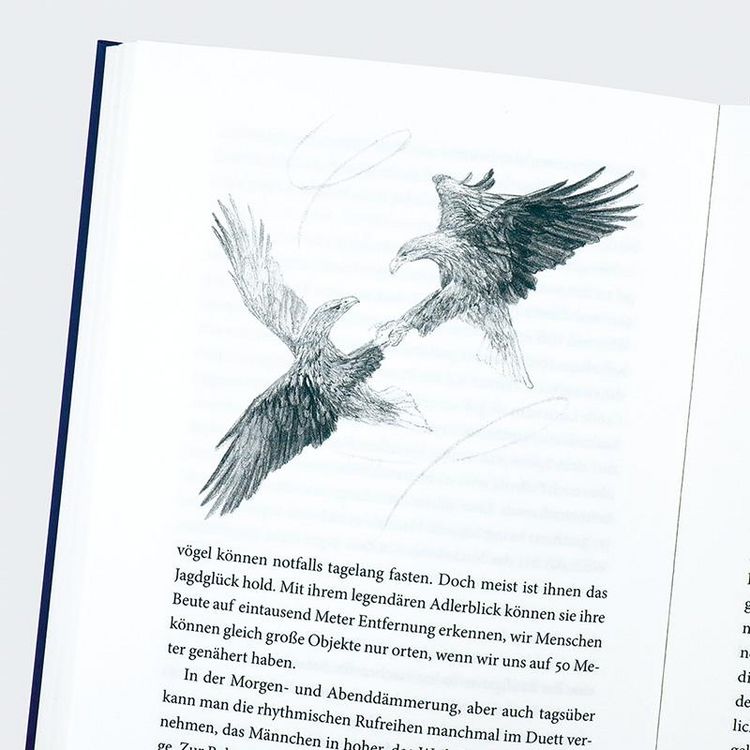 Produktbild: Das Liebesleben der V&ouml;gel