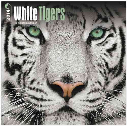 Produktbild: White Tigers 2014 - Wei&szlig;e Tiger