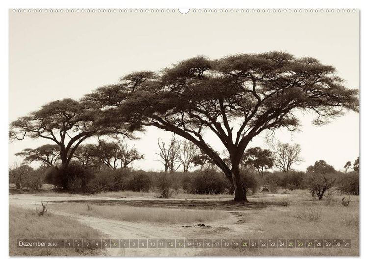 Produktbild: Botswana &ndash; Impressionen aus Afrika (hochwertiger Premium Wandkalender 2026 DIN A2 quer), Kunstdruck in Hochglanz