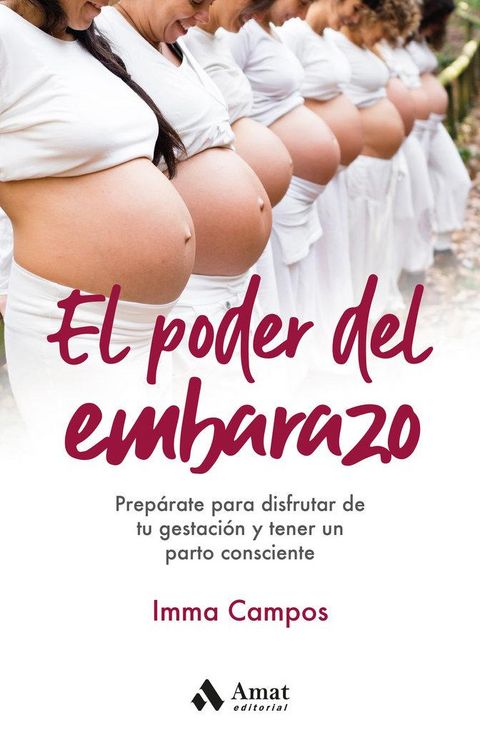 Produktbild: El poder del embarazo: Prep&aacute;rate para disfrutar de tu gestaci&oacute;n y tener un parto consciente