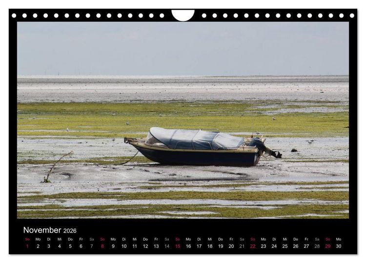 Produktbild: Texel, eine Perle Hollands (Wandkalender 2026 DIN A4 quer), CALVENDO Monatskalender