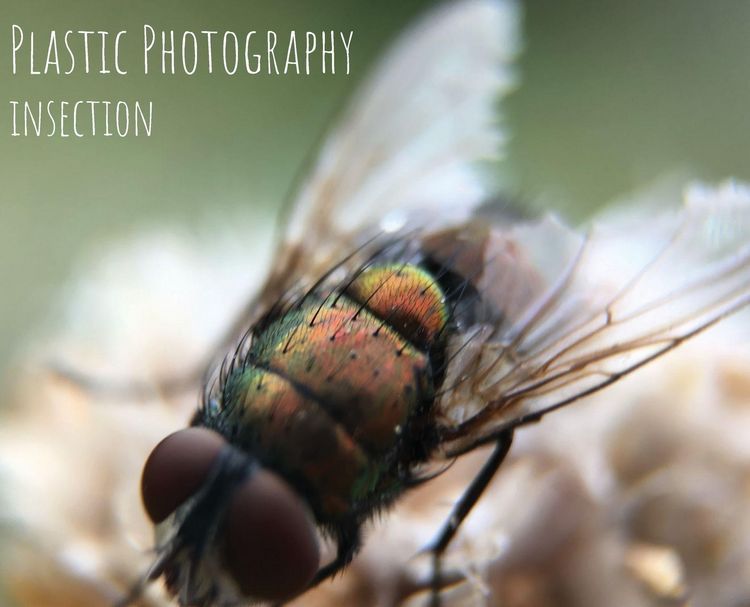 Produktbild: Plastic Photography