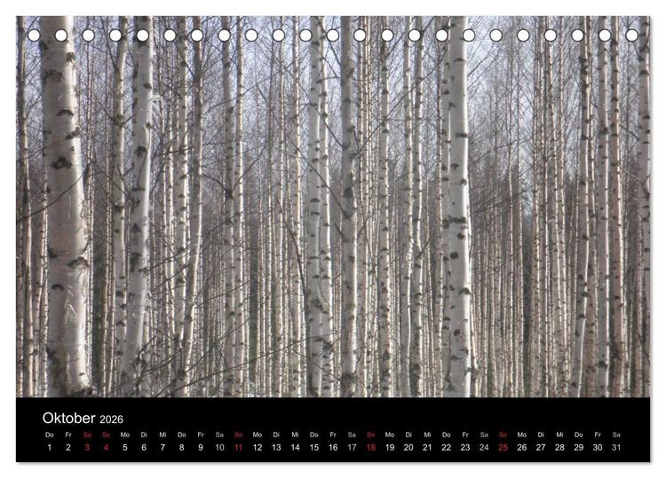 Produktbild: Wundersch&ouml;nes Finnland (Tischkalender 2026 DIN A5 quer), CALVENDO Monatskalender