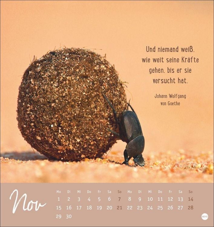 Produktbild: Never give up! Postkartenkalender 2027 - Durchhalten. Denn alles wird gut.